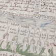 Voynich: libro di magia più misterioso al mondo, nessuno ha mai tradotto codice