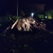 Mirandola (Modena), tromba d'aria nella notte: alberi sradicati FOTO 5