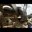 Anaconda lunga 10 metri spostata con escavatore4