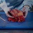 Documentario Bbc mostra organi interni donna morta6