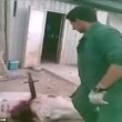 YOUTUBE Maiali torturati: così strappavano il cucciolo dalle scrofe VIDEO choc4