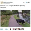 Mucca con il volto oscurato Google Street View difende la sua privacy2