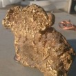 Usa, trova pepita d'oro da mezzo chilo: vale 70mila dollari FOTO 2