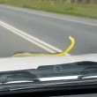 Serpente spunta dal motore e si attacca su finestrino auto in corsa5