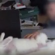 YOUTUBE Pelliccia strappata ai conigli per ottenere angora VIDEO choc 2