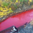VIDEO YOUTUBE Fiume rosso sangue in Russia: sostanze chimiche nell'acqua 2