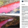 VIDEO YOUTUBE Fiume rosso sangue in Russia: sostanze chimiche nell'acqua 4