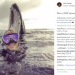 Sub scatta un selfie nell'oceano e dietro spunta...una balena FOTO 2