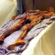 Otzi, svelati i segreti della più antica mummia europea FOTO-VIDEO02