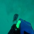 VIDEO YOUTUBE Pesce leone punge sub: le grida di dolore sott'acqua 3