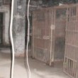 Scheletro nella cella di un'ex stazione di Polizia: rimasto lì per 10 anni02