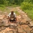 India, libera 285 serpenti nella foresta: "Sono nostri amici"7