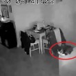 YOUTUBE Terremoto a Roma: la padrona scappa, il gatto resta fermo sul divano