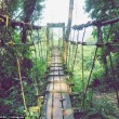 Turista si perde nella giungla in Malesia, sopravvive mangiando erbe 01