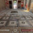 A Pompei riaprono Domus chiuse da decenni tra queste la Casa dei Mosaici Geometrici 4