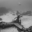 Cimitero sottomarino degli aerei della seconda guerra mondiale 2