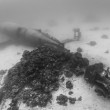 Cimitero sottomarino degli aerei della seconda guerra mondiale 222