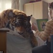 Tigre ferita sul letto di casa: spot commovente Wwf 9