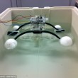 Robot che mangiano materia organica: così ripuliscono le acque FOTO