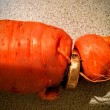 Ritrova fede nuziale persa 3 anni fa: era infilata ad una carota