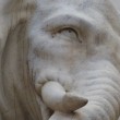 Roma. Elefante del Bernini in piazza della Minerva danneggiato dai vandali: zanna staccata 2