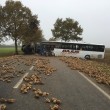 Francia, scontro tra bus scuola e camion a Bavincourt: un morto FOTO 3