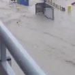 Prova a raggiungere la sua auto durante inondazione2