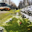 Russia, si rompe tubo pieno di cromo: neve verde sugli Urali11