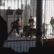 YOUTUBE Leone attacca e sbrana il domatore al circo di Alessandria YOUTUBE Leone attacca e sbrana il domatore al circo di Alessandria5