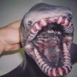 Pesci "alieni", strane creature marine che popolano gli abissi FOTO