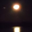 Ufo in Canada? Oggetto non identificato nei cieli di Clarenville FOTO
