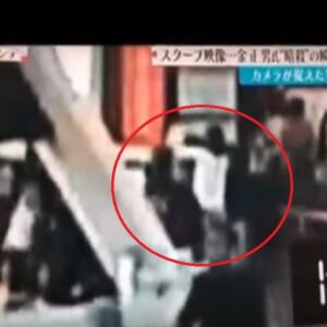 Kim Jong-nam, la siringa, la donna alle spalle: video mostra l'agguato in aeroporto