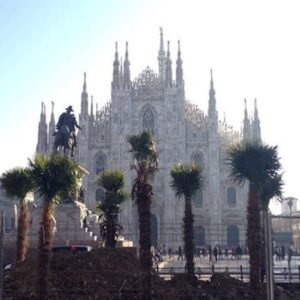 Milano, dopo le palme ecco i banani: riparte la polemica su piazza Duomo