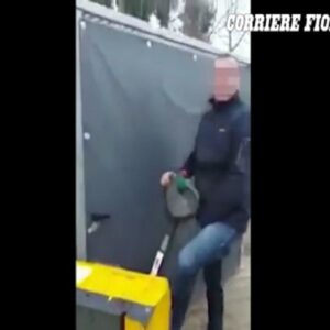 Follonica, chiudono due rom in gabbia e poi postano il video su Facebook VIDEO