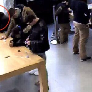 Ladri roditori all'Apple Store: rubano gli iPhone a morsi
