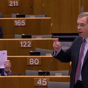 Parla Nigel Farage: deputato europeista protesta così