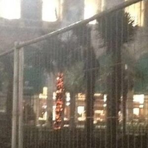 Palme in piazza Duomo, in fiamme nella notte una delle piante