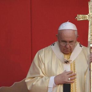 Pedofilia, papa Francesco: "Come può un prete causare tanto male?"