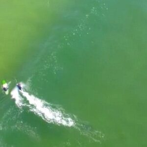 Squalo si avvicina pericolosamente a surfista VIDEO drone6
