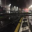 Torino. Albero cade e travolge ciclista e tram: linea interrotta FOTO 3