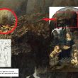 Leonardo da Vinci, scoperto un cane dietro Vergine delle Rocce: "Era accusa verso corruzione Papi" 02