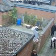 Tre uomini rubano la pavimentazione di una strada a Manchester