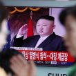 Corea del Nord: "Pronti a rispondere con guerra nucleare" 09