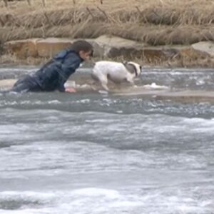 Si tuffa nel lago ghiacciato e salva il suo cane