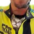 Gattino non smette di leccare il viso al ciclista che l'ha salvato