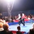Orso del circo si avventa sul pubblico in Ucraina