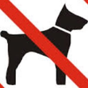 Bogliasco, divieto di accesso ai cani. Turisti protestano: "Ridicolo"