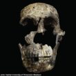 Sudafrica, scoperti i resti di tre ominidi naledi01