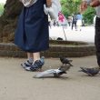 Scarpe a forma di piccione: l'idea della designer giapponese