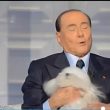 Berlusconi a Porta a Porta Vespa gli porta cane simile